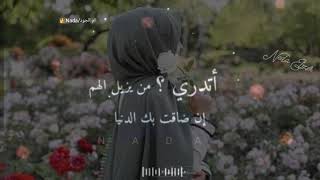 أتدري من يزيل الهم 💫❣️حالات وتس