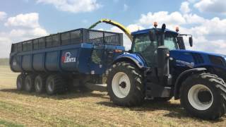 Hakselen in Ontario met Penta 4 asser DB70 kieper