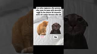 Ok Amore 😻😻😻😹😹😹 ❤️