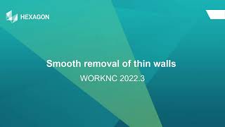 Smooth Removal of Thin I WORKNC 2022.3