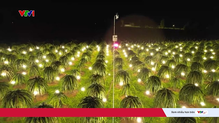 Người dân khốn đốn vì tình trạng trộm bóng đèn điện tại vùng trồng thanh long | VTV24
