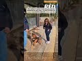 Dog training      What happened next proved just how wrong he was. #dog #malinois #pitbull #k9