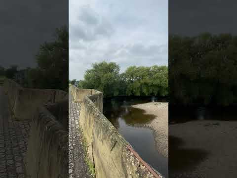 River Dee, North Wales / #short #shorts #videoshort #shortsfeed #nature #outdoors #shortvideo #fypシ
