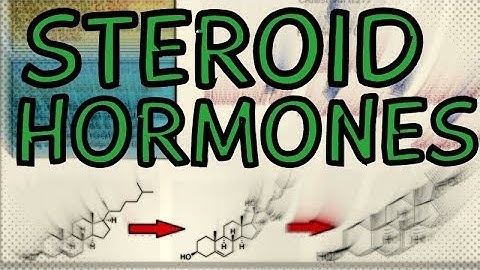 What are Steroid Hormones? Types, Synthesis from Cholesterol