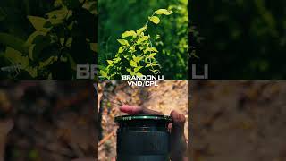 Brandon Li’s Secret to Perfect Exposure