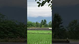 IMG 4745