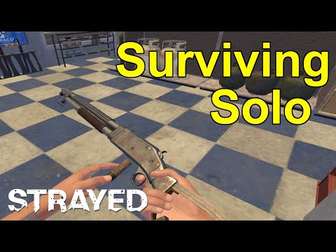How To Dominate Solo Strayed