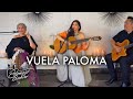Video thumbnail of "Ana Barbara - Vuela Paloma ft. Titi (Video Oficial)"