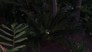No-solder Fireflies / Lightning Bugs 2