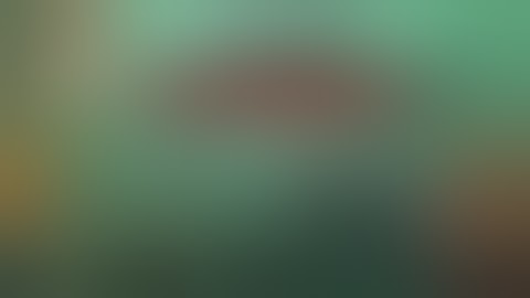 STUPID ZOMBIE 2 (HACK)MOD