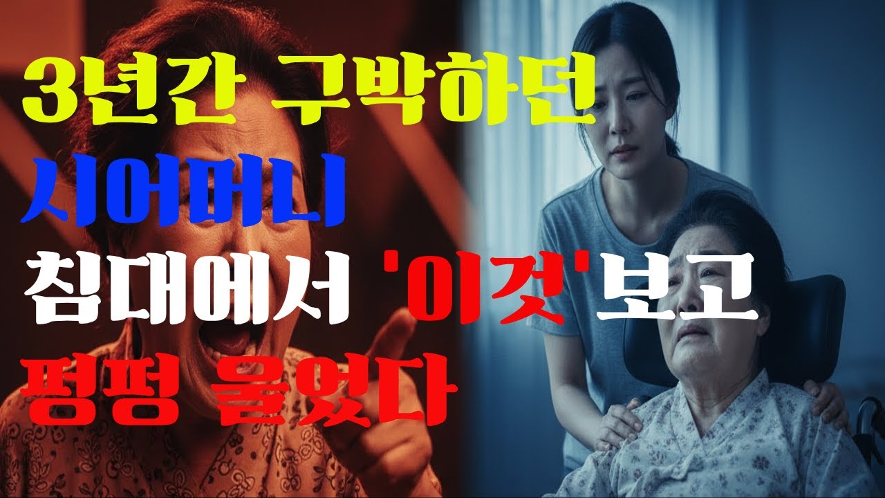 3년간 구박하던 시어머니, 교통사고 후 며느리에게 무릎 꿇고 운 이유 #시어머니 #며느리 #시집살이 #눈물 #감동 #반전 #real스토리
