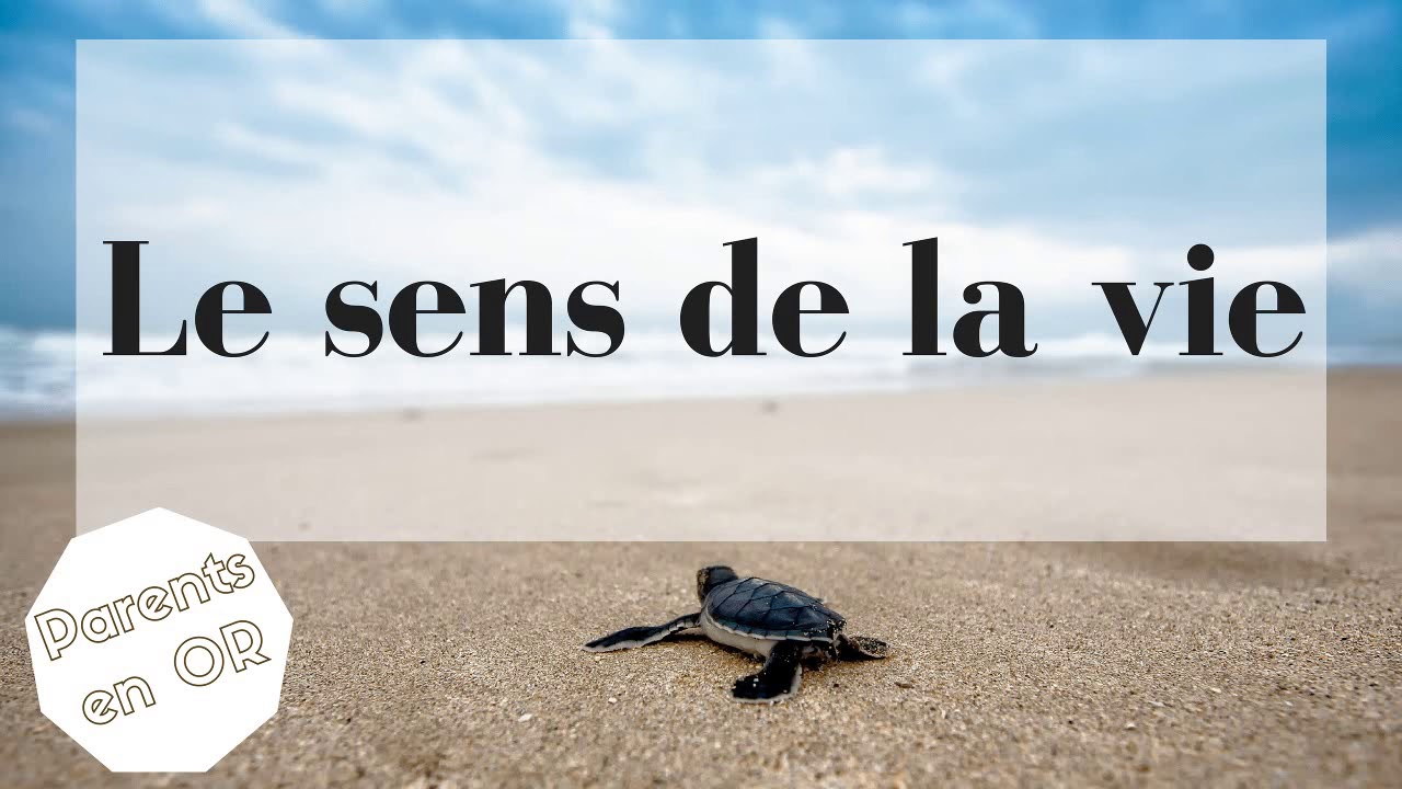 [Podcast 31] Le sens de la vie - YouTube