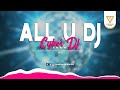 All U Dj - CYBER DJ TEAM | VIRAL TIKTOK (Official Audio Visualizer)