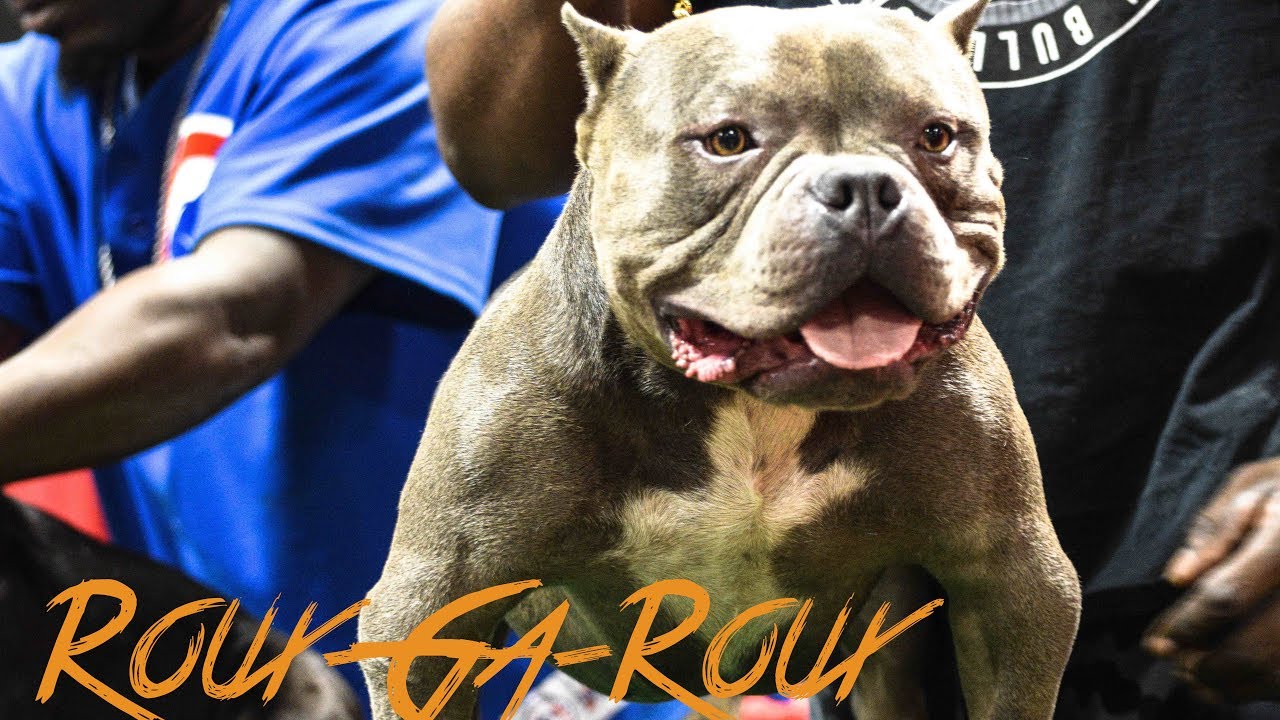 Meet Roux-Ga-Roux [BlackCard Bullies]  (Directed By JEJCPRO)