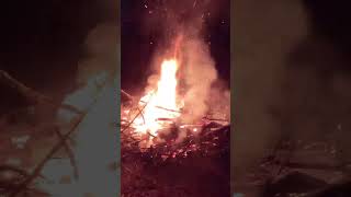 Bonfire vs Stihl Magnum BR-800 C-E Leaf Blower! 💨🔥 #satisfying #howto #bonfire #fire #stihl
