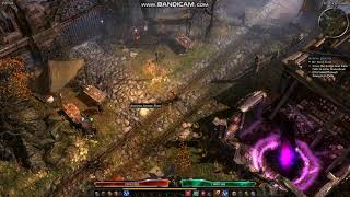 Grim Dawn Blur/Vibration When Moving