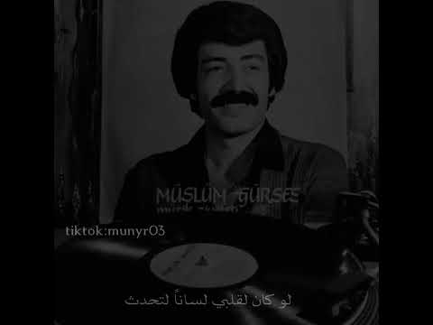 حالا واتس تركية مترجمة مسلم بابا