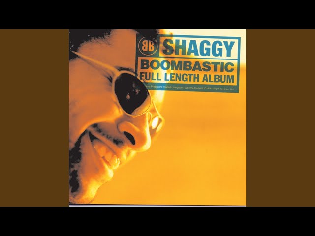 SHAGGY - SOMETHING DIFFERENT
