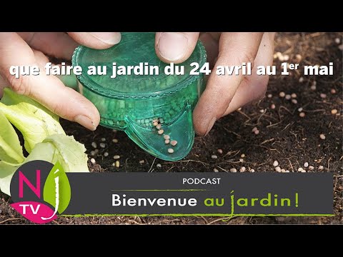 Vidéo: Jardin Fleuri En Avril : Que Faut-il Faire ?