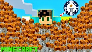 Breaking These Epic Minecraft World Records - Hindi