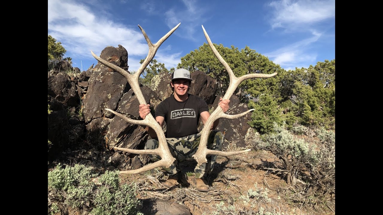 Utah Shed Hunting Highlights 2019 YouTube