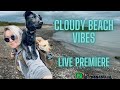  cloudy beach vibes with my dogs  live premiere 