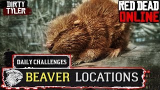 Beaver RDR2 Locations Red Dead Online  Daily Challenges