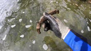 Metal Detecting and Finding Relics in the Clear Cold River!!
