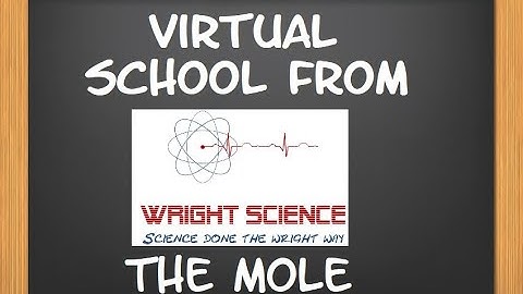 C3.1.6 -  The Mole -  Y9 Combined
