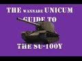 The Wannabe Unicum Guide to the SU-100Y