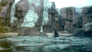 DSCN1747.AVI