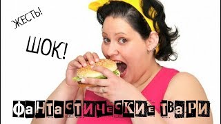 Трейлер "Фантастические Твари и зачетка" {Переозвучка} Трейлер "Фантастические Твари и зачетка" {Переозвучка}
