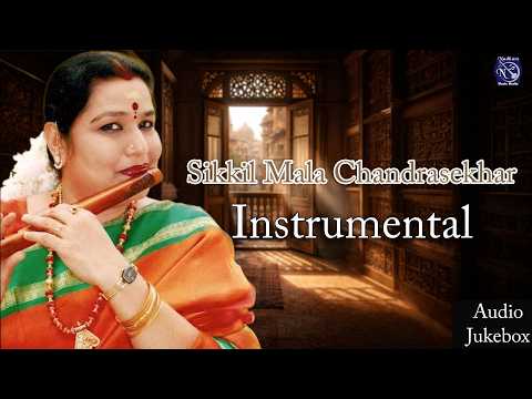 Annapoorna Visalakhi | Sikkil Mala Chandrasekhar | Instrumental Carnatic Music | Peaceful Classical