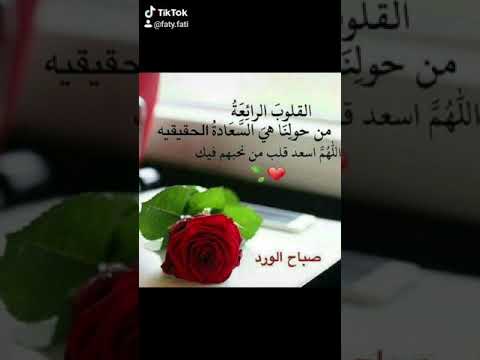 ١٧ يونيو ٢٠٢٠ 