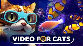 VIDEO FOR CATS - Relaxing Aquarium Fish. CAT GAMES - Fish | CAT TV | Screensaver | 8 Hours.