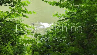 Barbel Fishing (First season session)