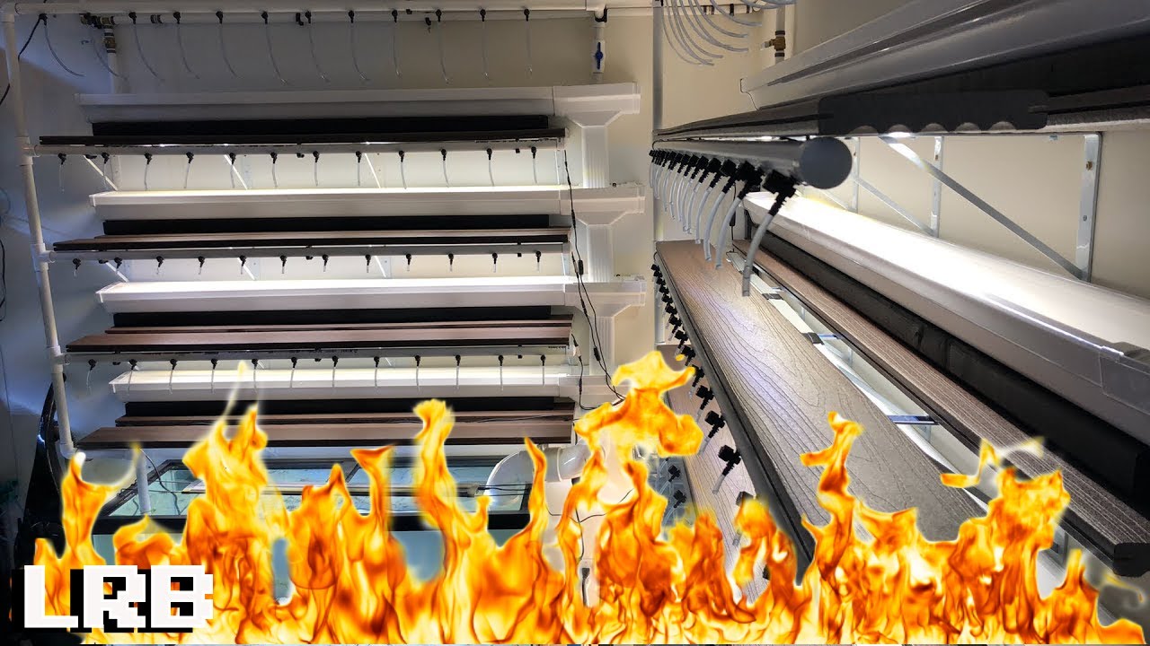 Fry Rack Down - YouTube