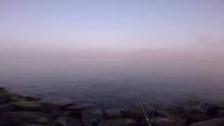 1st King Mackerel for this year 2017.. Shore Jigging.. Dubai Fishing..