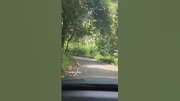 Sholayar Forest root. One of the dangerous route in south India.