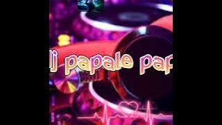 DJ papale papale remax[2020]