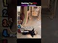 Ranking Top Red Panda Moments