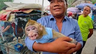 Indonesia's Illegal Animal Market