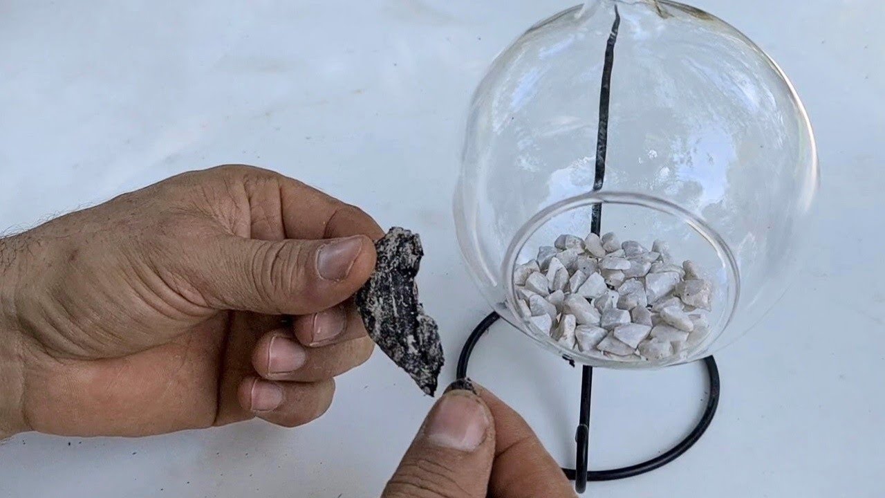 Мини-сад в СТЕКЛЯННОМ ШАРЕ, лесная тропинка: Мох, гиповест, скала и пеперомы