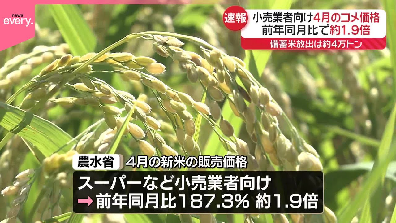 速報】小売業者向け4月コメ価格、前年同月比で約1.9倍 - YouTube