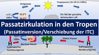 Passatzirkulation Passatkreislauf In Den Tropen Hadley-Zellepassatinversion Erdkunde, Oberstufe