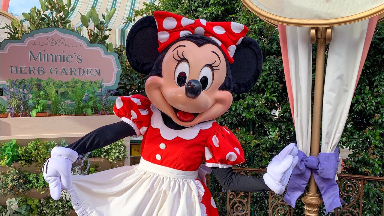 DINING REVIEW Plaza Inn "Minnie & Friends" Breakfast in the Park at