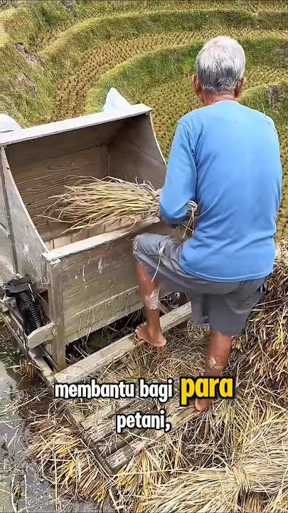 Assembled Rice Thresher