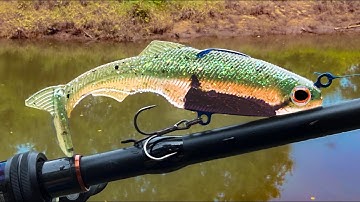 Making a New Way to Fish a SwimBait | The SwimBait Plate