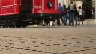 Sol Ayağım - Christy Brown Kısa Bir Bölümü