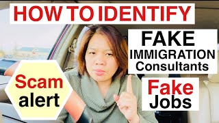 How To Identify Fake Immigration Consultantsscammers Offer Fake Jobssarah Buyucan